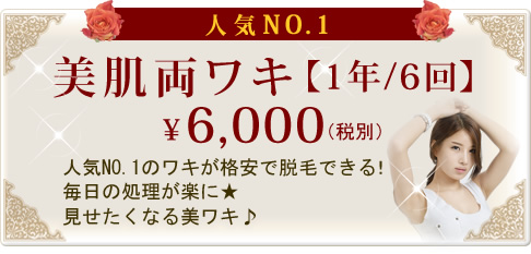 美肌両ワキ 【1年/6回】¥6,000