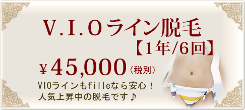 V.I.Oライン脱毛【1年/6回】　¥45,000