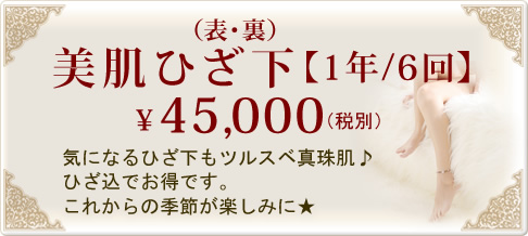 美肌ひざ下【1年/6回】　¥45,000