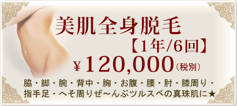 美肌全身脱毛【1年/6回】　¥120,000